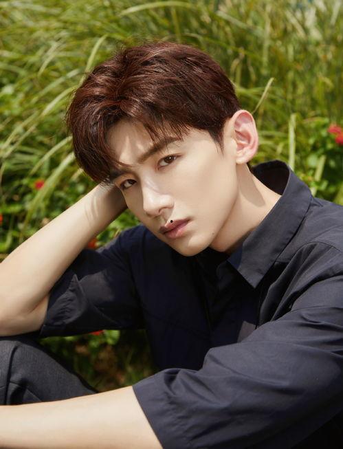 白敬亭的电视剧,从夏至未至到平凡的荣耀，演绎青春与职场成长